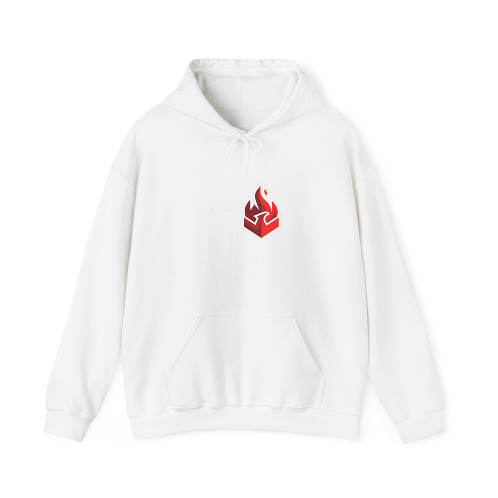 Unisex Heavy Blend™ Hooded Sweatshirt