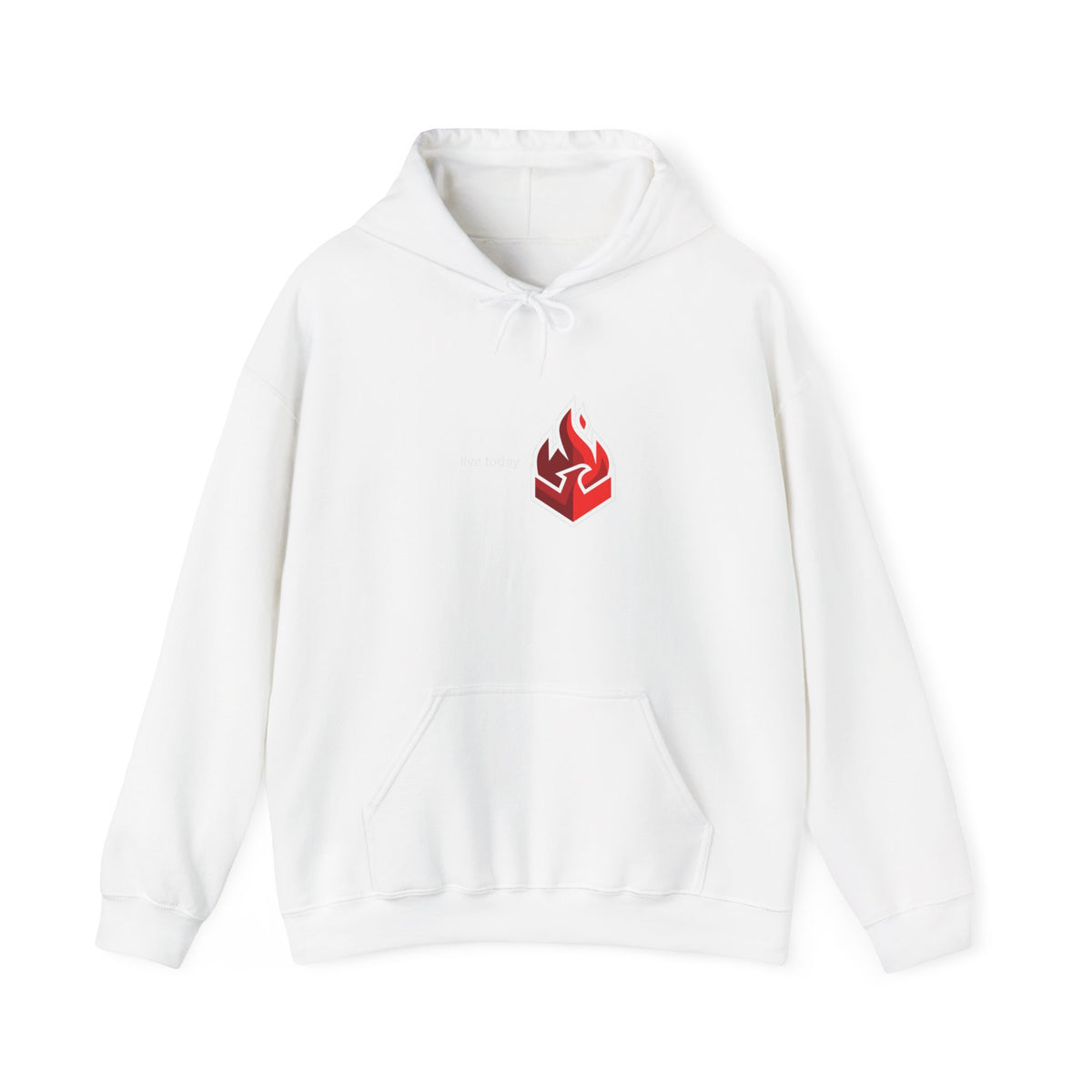 Unisex Heavy Blend™ Hooded Sweatshirt